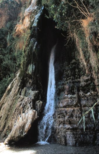 Wasserfall Oase En Gedi
